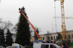 В столице на Контрактовой площади началась установка новогодней елки