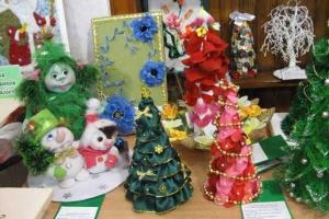 Конкурс в рамках Всеукраинской акции "Сохрани елку" проходит на Донетчине