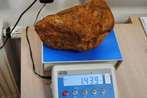 Житель Калининграда пытался провезти в штанах контрабандный янтарный самородок