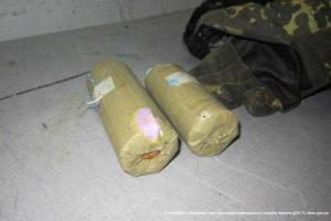 Служебные собаки помогают пограничникам в обнаружении взрывчатки и наркотиков