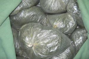 Гражданин Азербайджана пытался провезти через границу 25 кг насвая