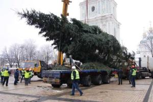 Главная Новогодняя елка страны установлена на Софийской площади