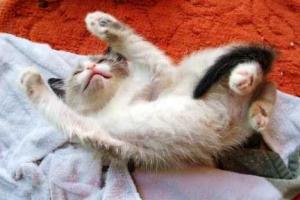 Мысленная зарядка приносят реальный результат