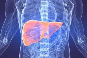 Враги печени, страдающей "молча"