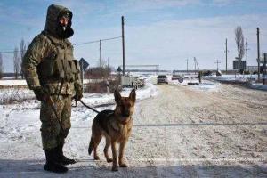 Пограничники-кинологи со своими четвероногими друзьями возвращаются домой из зоны АТО
