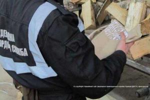 Украинец вез в Польшу дрова с "сюрпризом"