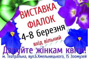 Киев: Любителей прекрасного приглашают на выставку фиалок