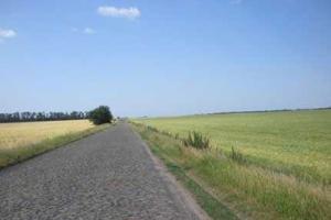 Николай Иванов: Чехия своим подарком подложит свинью не только Польше, но и всей Европе