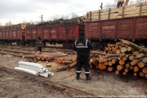 Контрабандисты "нафаршировали" бревна крупной партией табачных изделий