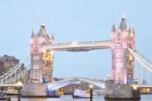 Лондон окрасится в розовый цвет в честь новорожденной британской принцессы 