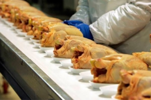 Минсельхоз Казахстана запретил импорт российской птицеводческой продукции