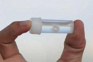 Крошечные медузы, несущие смерть