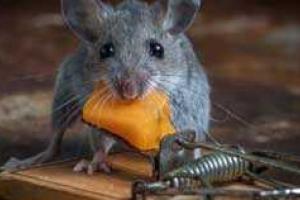 Кирилл Сазонов: С крахом экономики рухнет и режим – Кремлю будет уже не до Украины