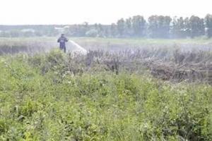 Под Киевом вновь горят торфяники