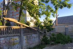 Новая напасть на головы жителей Крыма: ураган валит деревья и остановил работу Керченской переправы