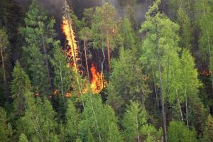 В пригороде Улан-Удэ военные учения привели к масштабному лесному пожару