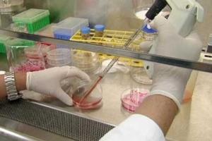 Смертоносный коронавирус MERS продолжает расползаться среди жителей Южной Кореи