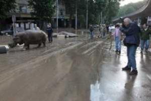 На улицы Тбилиси вышел "на охоту" грузинский спецназ