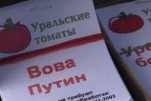 Именем президента РФ селекционер назвал новый сорт гигантских помидоров