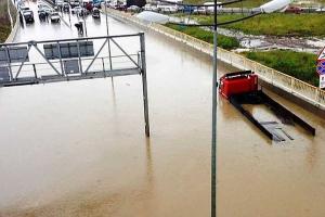 По улицам Сочи плавают рыба и горожане на лодках 