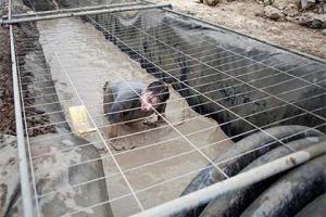 День грязи в Ницце закончился для 30 участников забегов в инфекционной больнице