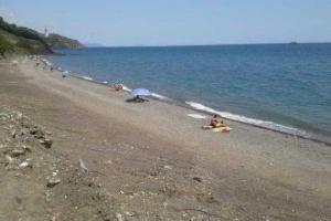 Удручающее зрелище: Сезон вымирания в Крыму