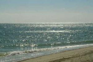 Жителя Мариуполя, "путешествующего" на надувном круге, подобрало российское судно 