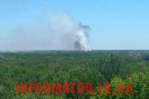 На Луганщине обстрелы боевиков вновь привели к лесным пожарам 