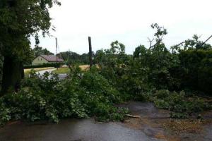 Поваленное ураганом дерево убило жителя Польши