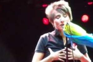 "Гонения" на Земфиру начались: в России не любят смелых людей с собственным мнением