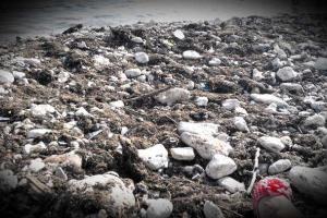 Соцсети Севастополя: Все было, но такого... Был город, а стало болото!!!