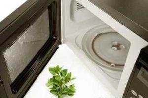 Это интересно: 14 неожиданных способов использования микроволновки 