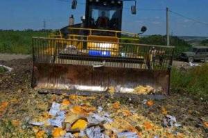 Российский историк: впервые после начала крымской эпопеи россияне изменили свое мнение о Путине