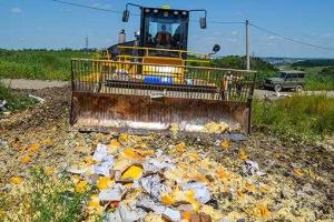 Экс-мэр Москвы: санкционные продукты можно перерабатывать в электричество 