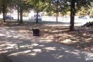 Жители Харькова возмущены: возле жилого дома обнаружили боевую гранату