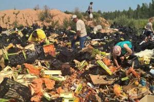 В России начали отнимать у людей ввозимые "санкционные" продукты