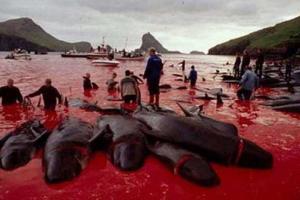 По мнению ученых, человек стал уникальным "суперхищником"