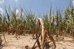 Продовольственный кризис в Крыму: миф или реальность