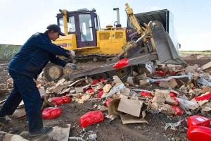 Пионтковский: Война Путиным проиграна, проиграна катастрофически