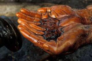 В Беларуси открыли новое месторождение нефти 