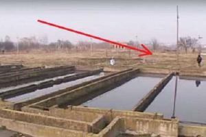 ЧП в Ровно: из-за пожара на очистных сооружениях дым постепенно оккупирует город
