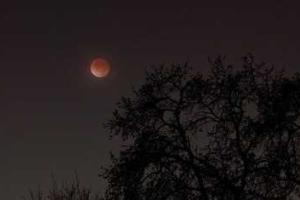 Над Москвой взойдет "кровавая" Луна