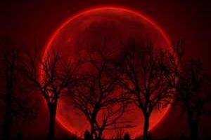 Готовьтесь: 27 сентября впервые за 30 лет можно увидеть суперлуние