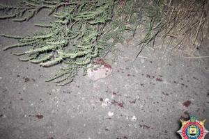 На Донетчине задержан жестокий убийца, которым оказался 19-летний парень