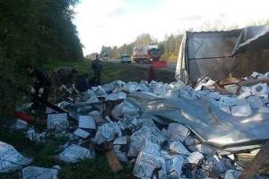 В России водитель угробил "ценный" груз: перевернул фуру с водкой