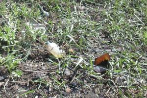 На Донетчине два разведчика получили тяжелые ранения, подорвавшись на растяжке