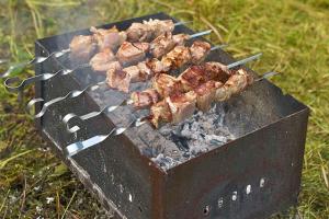 В России всех любителей шашлыков планируют обложить налогом 