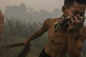 В Индонезии горят торфяники: власти Малайзии закрыли все школы из-за дыма и смога