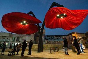 В центре Иерусалима расцвели гигантские цветы, реагирующие на движения людей