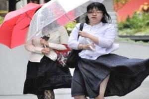 В Японии замерло движение поездов и самолетов - на остров надвигается мощный тайфун